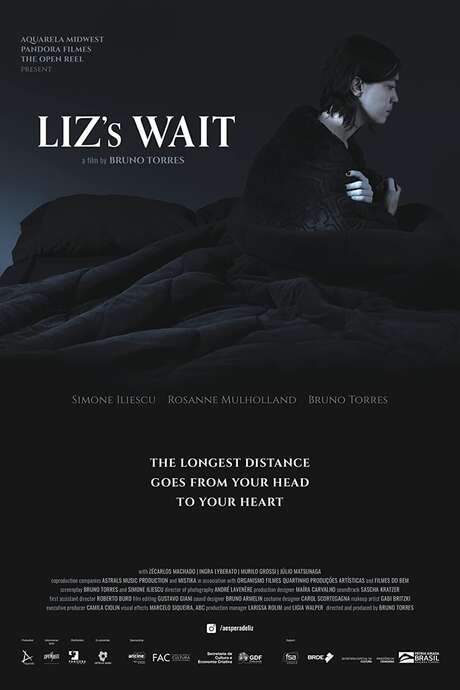 Liz’s Wait (2022) movie poster