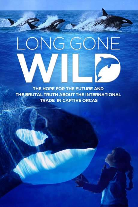 Long Gone Wild (2019) movie poster