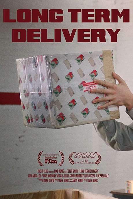Long Term Delivery (2018) movie poster