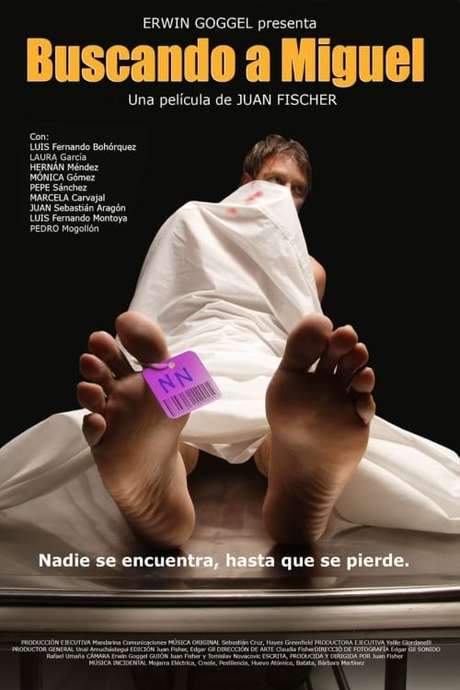 Looking for Miguel (2007) movie poster