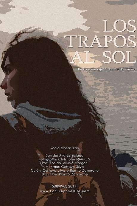 Los trapos al sol (2014) movie poster
