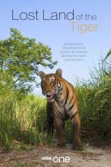 Lost Land of the Tiger (2010) movie poster