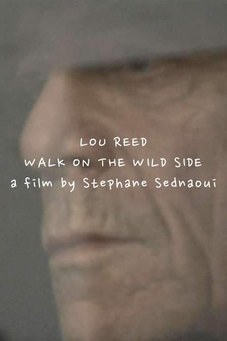 Lou Reed: Walk on the Wild Side (2005) movie poster