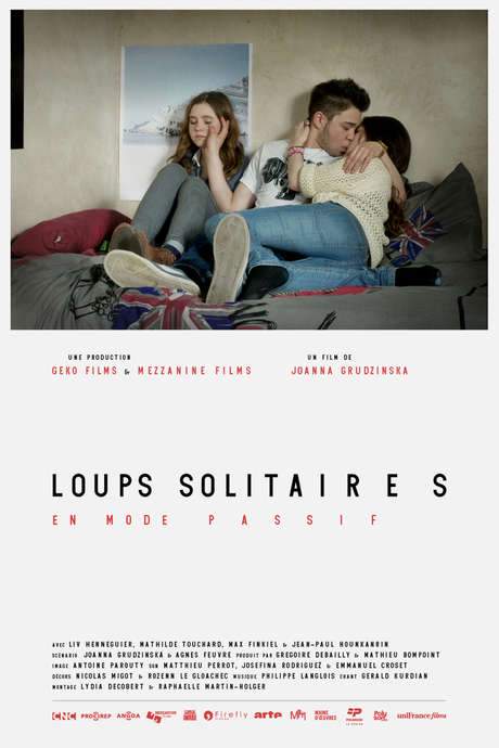 Loups solitaires en mode passif (2014) movie poster