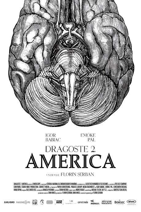 Love 2. America (2018) movie poster