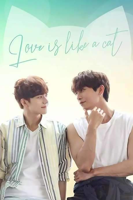 Love Is Like A Cat (2024) movie poster