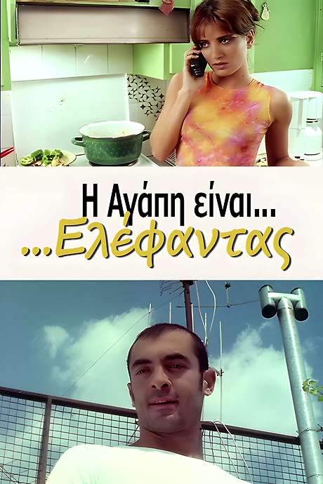 Love Is an Elephant (2000) movie poster