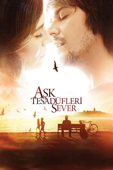 Love Likes Coincidences (2011) movie poster