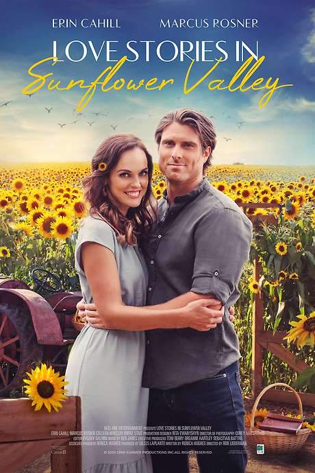 Love Stories in Sunflower Valley (2021) movie poster