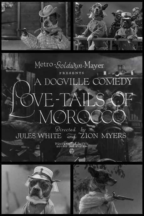 Love-Tails of Morocco (1931) movie poster