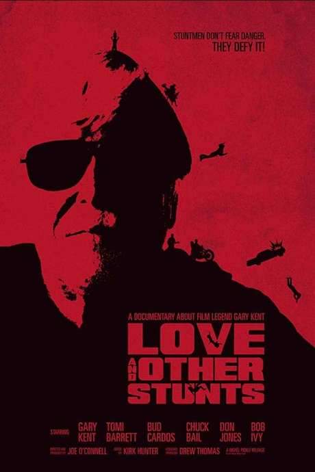 Love and Other Stunts (2018) movie poster