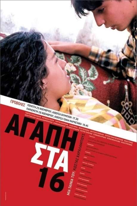 Love at 16 (2004) movie poster