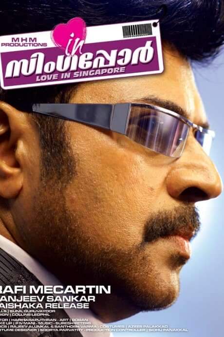 Love in Singapore (2009) movie poster