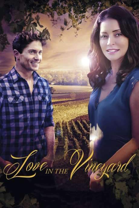 Love in the Vineyard (2016) movie poster