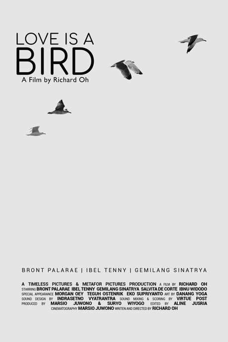 Love is A Bird (2018) movie poster
