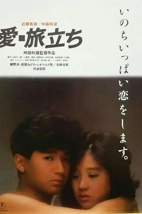 Love: Starting on a Journey (1985) movie poster