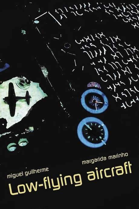 Low-Flying Aircraft (2002) movie poster