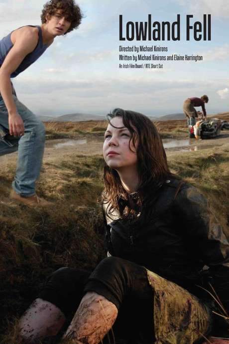 Lowland Fell (2008) movie poster