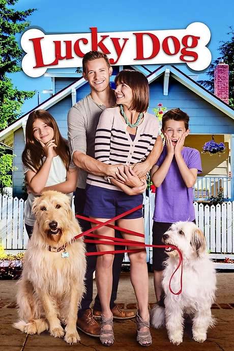 Lucky Dog (2014) movie poster