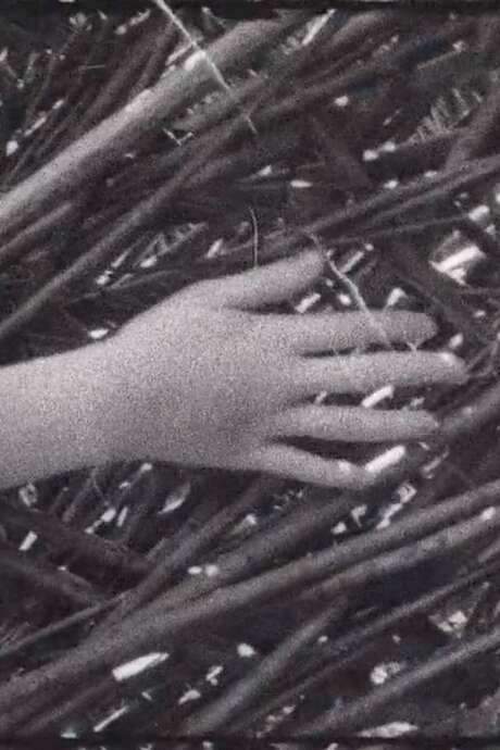 “Lumen,” meaning “light” in Latin, is a visually striking film shot on Super-8. It portrays a young girl living with oculocutaneous albinism, a genetic condition causing sensitivity to light and depigmentation of the skin and eyes. Despite the challenges posed by this condition, her unique appearance creates an extraordinary and ethereal presence. The film explores her experiences and offers a poignant observation of beauty and difference.