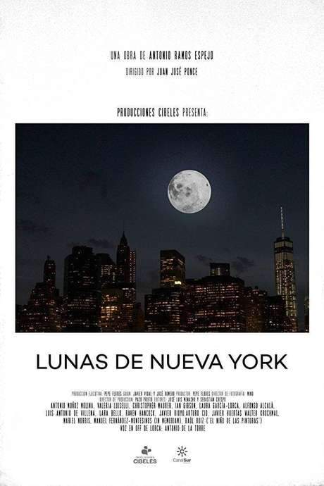 Lunas de Nueva York (2015) movie poster