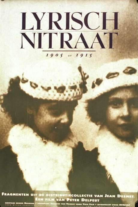 Lyrical Nitrate (1991) movie poster