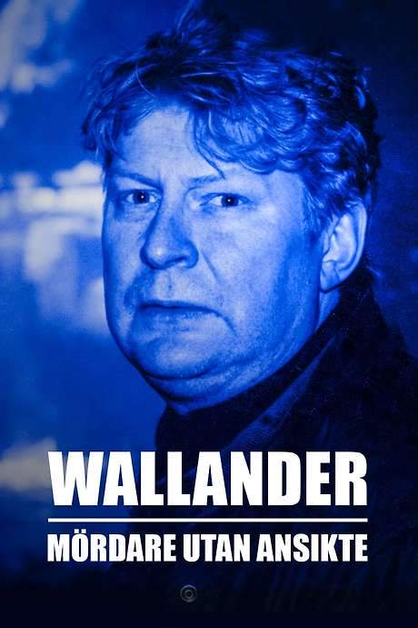 Mördare utan ansikte (1995) movie poster