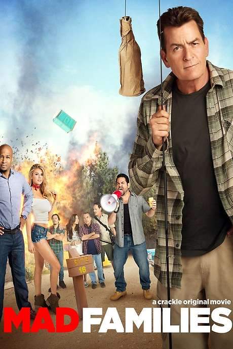 Mad Families (2017) movie poster