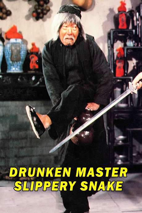 Mad Mad Kung Fu (1979) movie poster