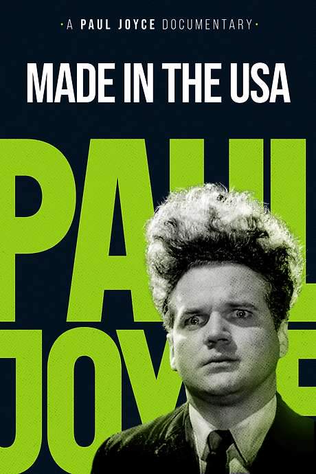 Made in the USA (1993) movie poster