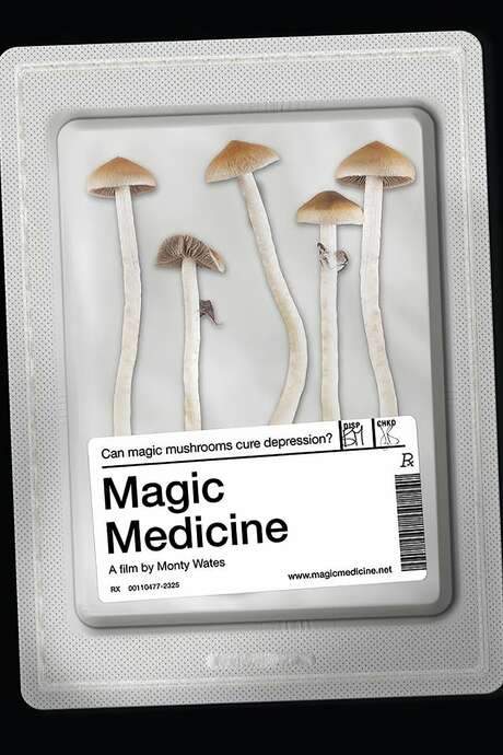 Magic Medicine (2018) movie poster