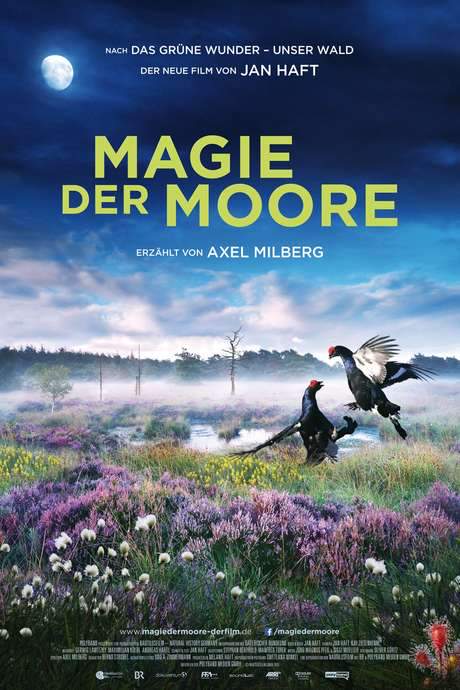 Magie der Moore (2015) movie poster
