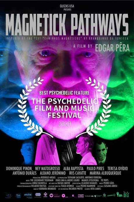 Magnetick Pathways (2018) movie poster