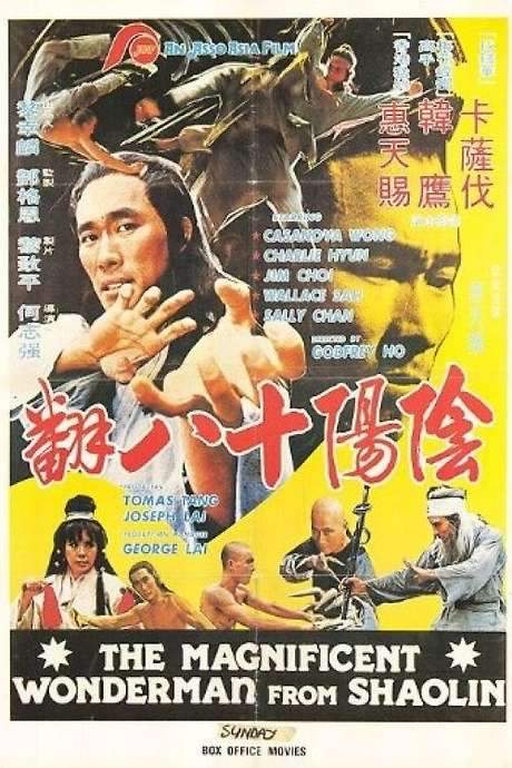 Magnificent Wonderman (1980) movie poster