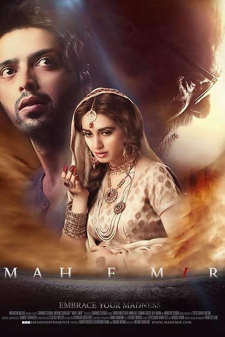 Mah e Mir (2016) movie poster