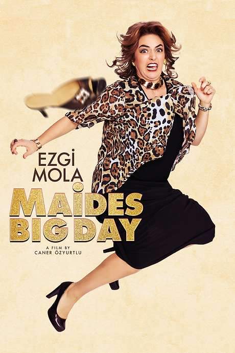 Maide’nin Altın Günü (2017) movie poster