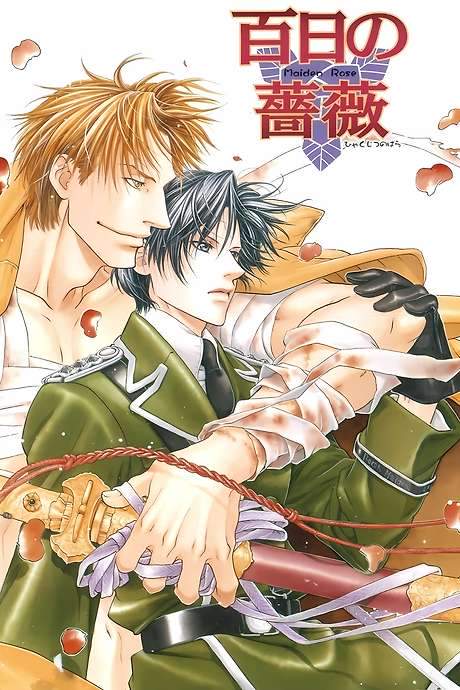 Maiden Rose (2009) movie poster