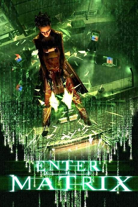 Making ‘Enter the Matrix’ (2003) movie poster