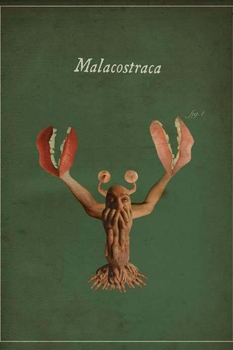Malacostraca