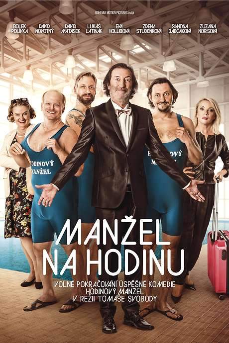 Manžel na hodinu (2016) movie poster