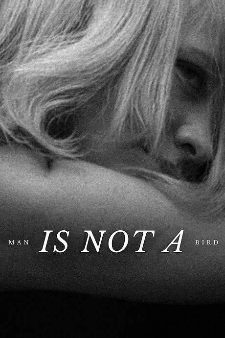 Man Is Not a Bird (1965) movie poster