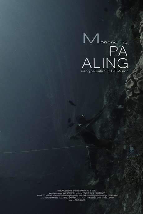 Man of Pa-Aling (2017) movie poster