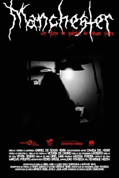 A detective investigates a cold case involving a missing person, delving into a virtual reality environment known as The Third World. As she navigates this digital realm, she uncovers a dark and complex trail, struggling to piece together the events surrounding the disappearance and confront a mystery she thought she had forgotten.