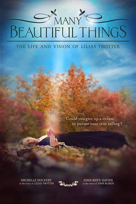 Many Beautiful Things (2015) movie poster
