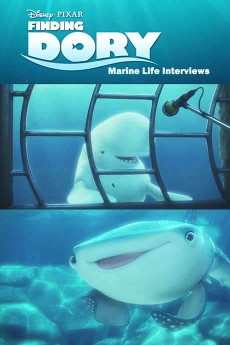 Marine Life Interviews (2016) movie poster