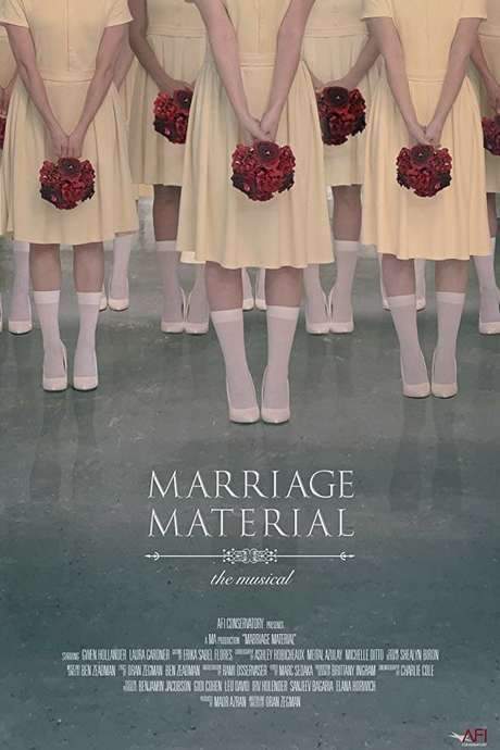 Marriage Material (2018) movie poster