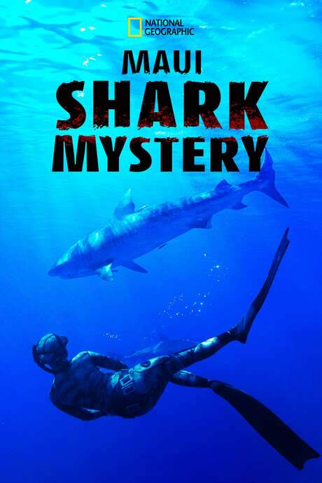 Maui Shark Mystery (2022) movie poster