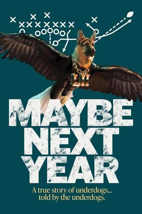 Maybe Next Year (2019) movie poster