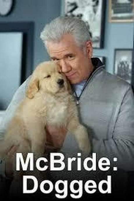 McBride: Dogged (2007) movie poster