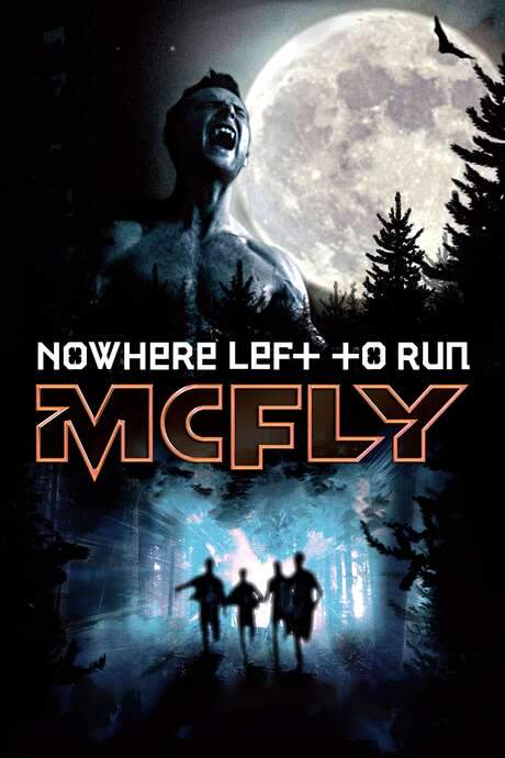 McFly: Nowhere Left to Run (2010) movie poster